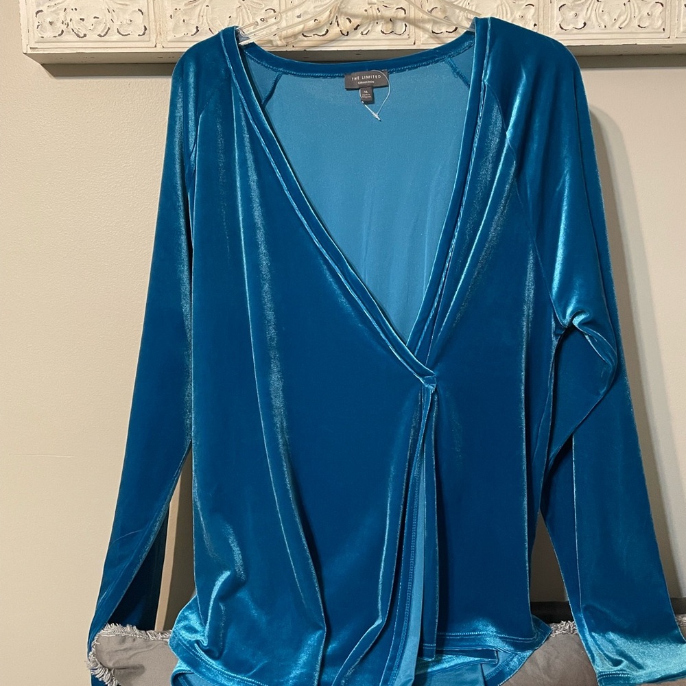 Vintage Velvet V Neck Long Sleeve Blouse - XL